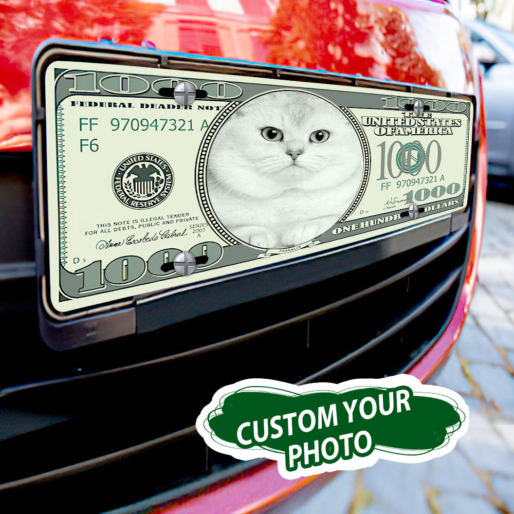 Custom photo license plate featuring a cat image on a $100 bill design, mounted on a red car
