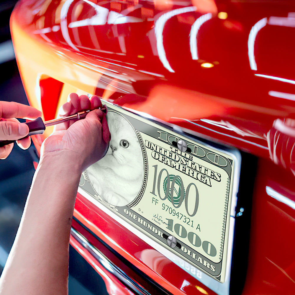 Installing custom money front license plate on red car, personalized car decor, $100 bill design