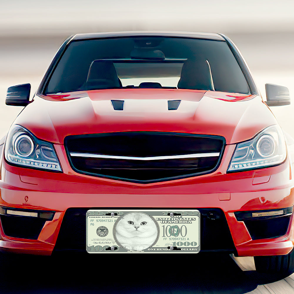 Custom money front license plate on a red car, personalized car decor
