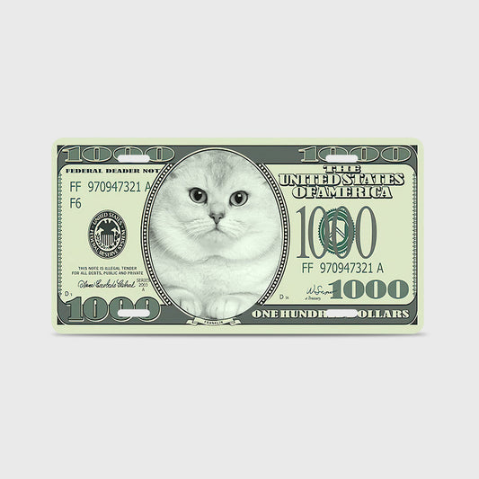Custom Photo License Plate featuring a cat image on a $100 bill design