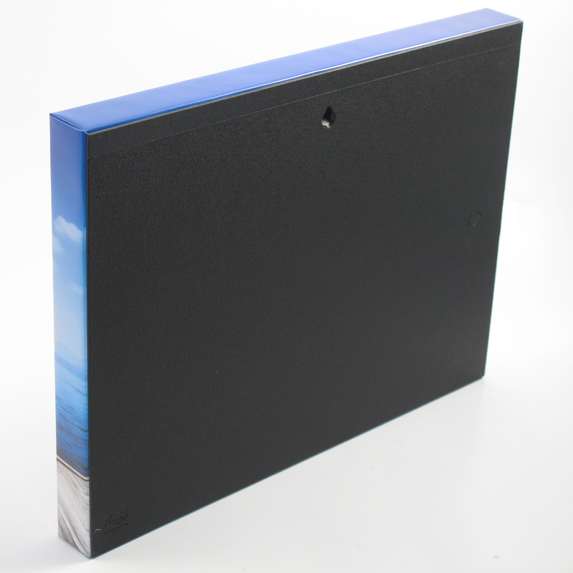 The Best Things in Life Are Free – Inspirational Quote Canvas Wall Art by superfastpod